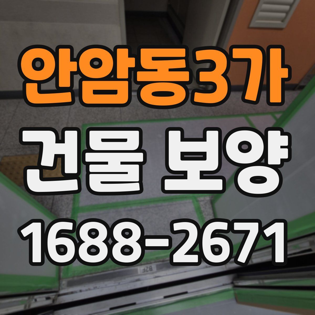 안암동3가 건물 보양