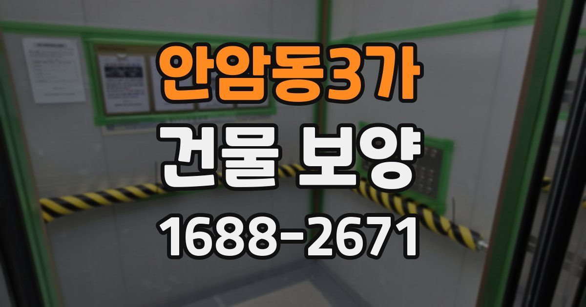 안암동3가 건물 보양