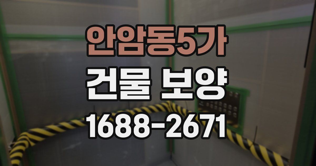 안암동5가 건물 보양