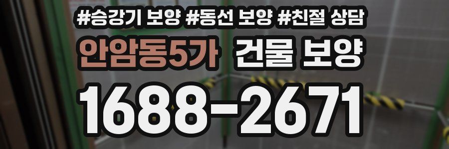 안암동5가 건물 보양