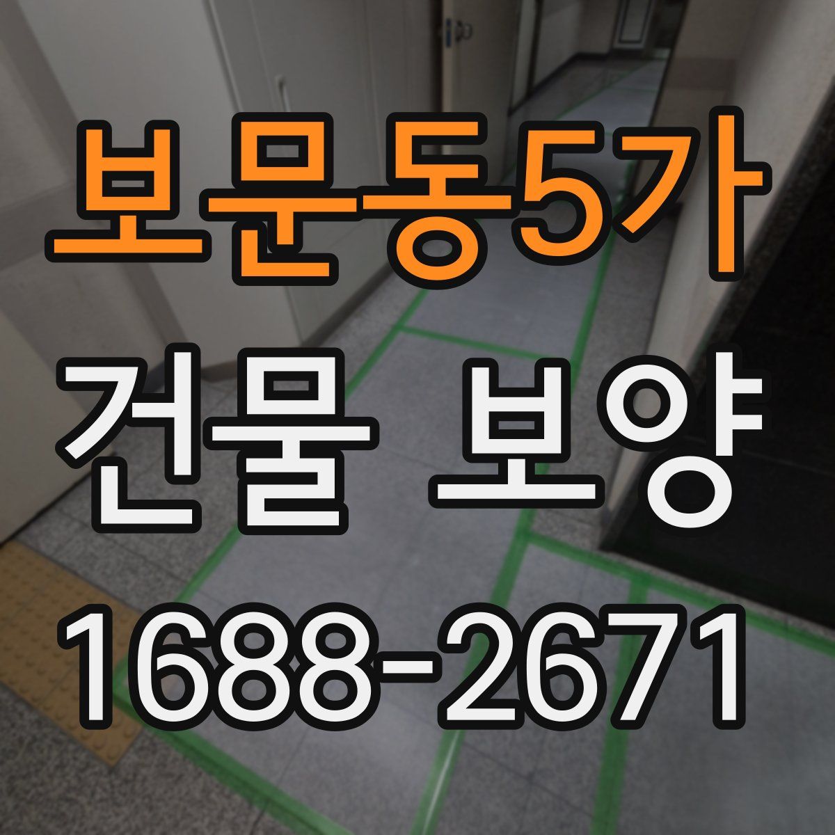 보문동5가 건물 보양