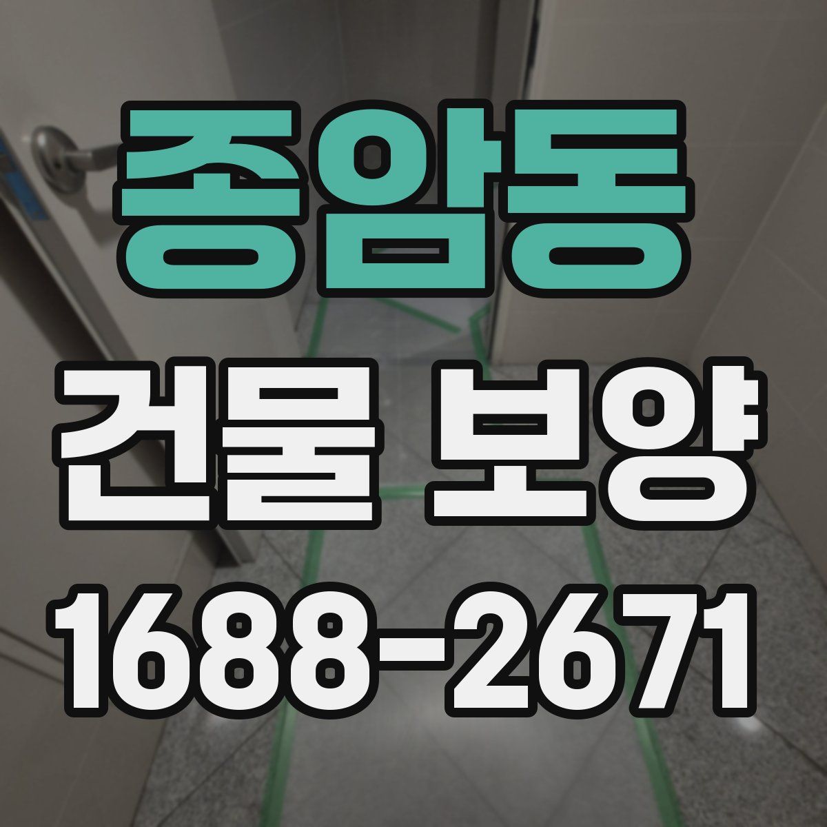 종암동 건물 보양