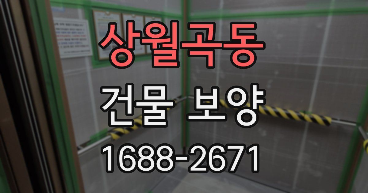 상월곡동 건물 보양