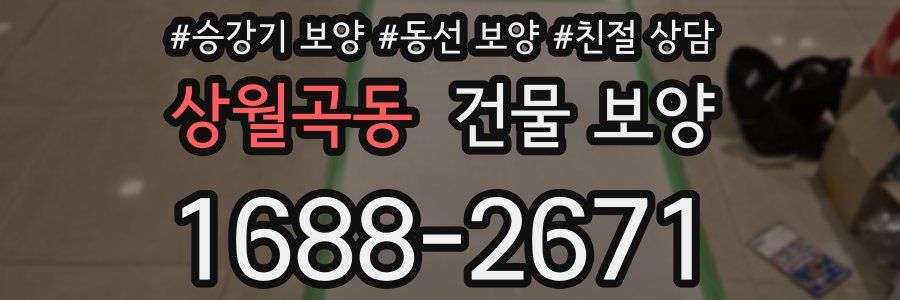 상월곡동 건물 보양