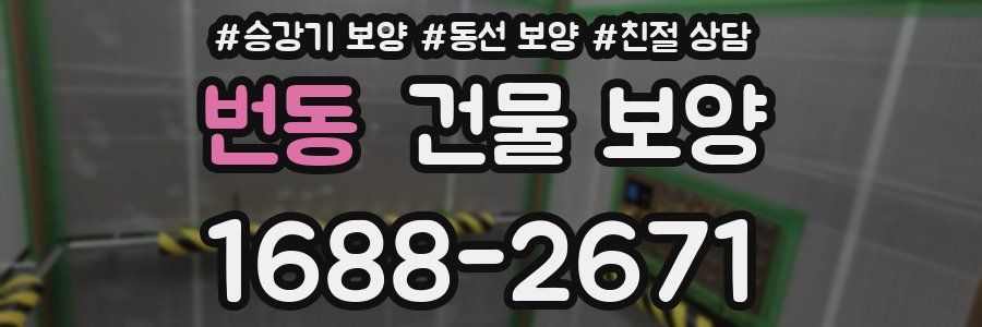 번동 건물 보양