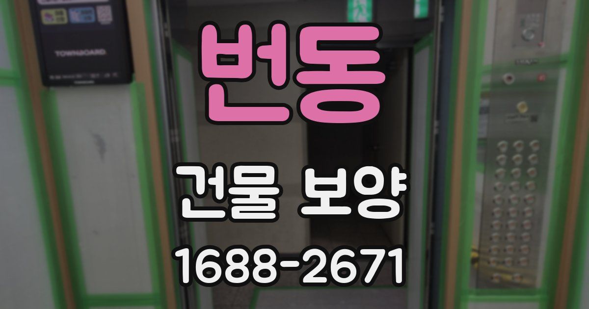 번동 건물 보양