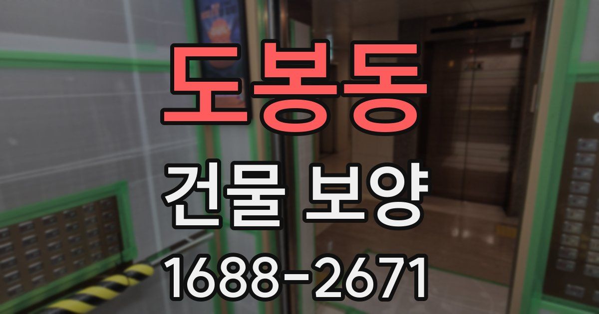 도봉동 건물 보양