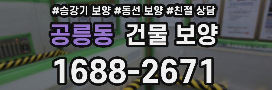 공릉동 건물 보양