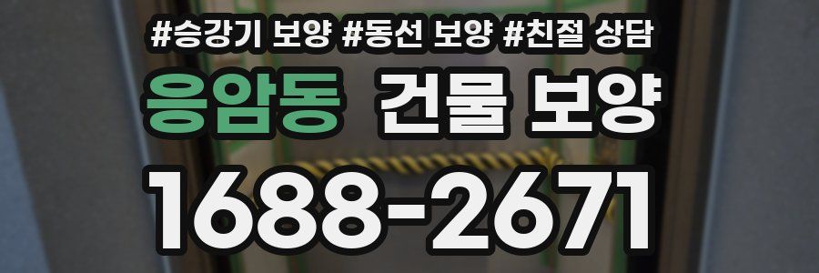 응암동 건물 보양