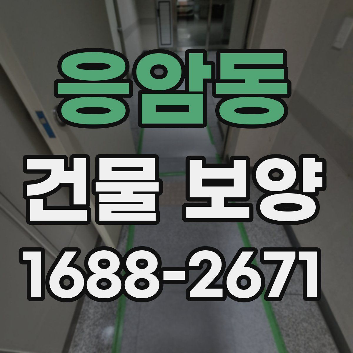 응암동 건물 보양