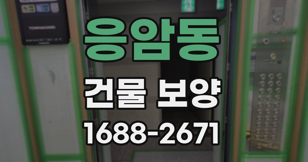 응암동 건물 보양