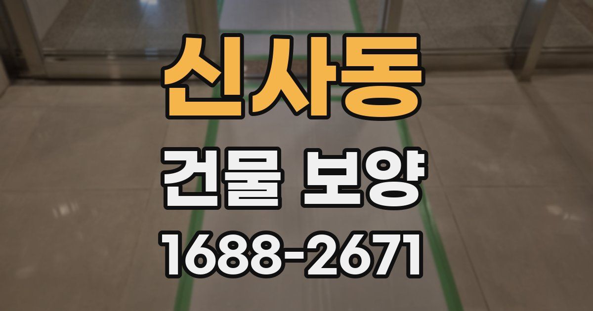 신사동 건물 보양