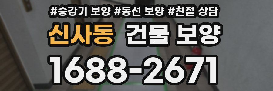 신사동 건물 보양