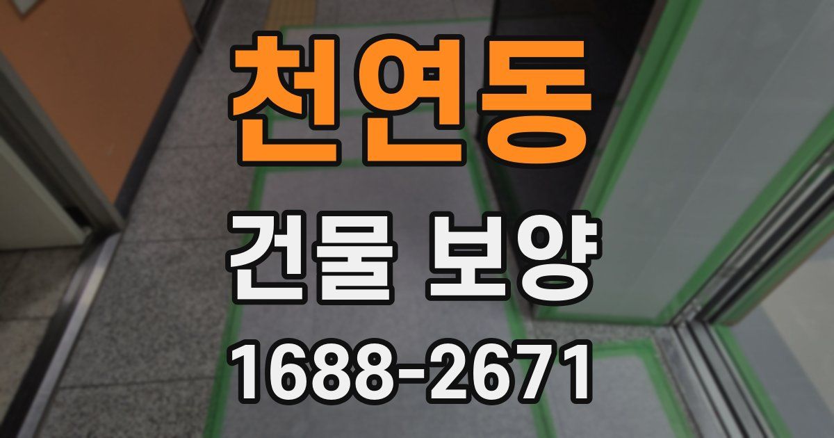 천연동 건물 보양