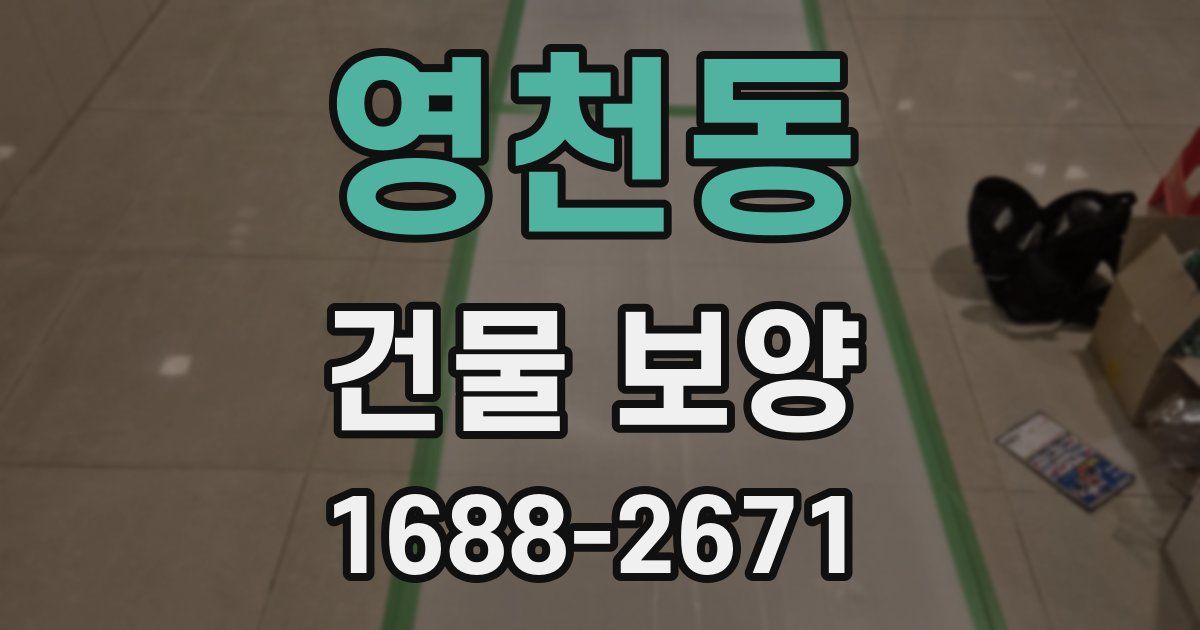 영천동 건물 보양