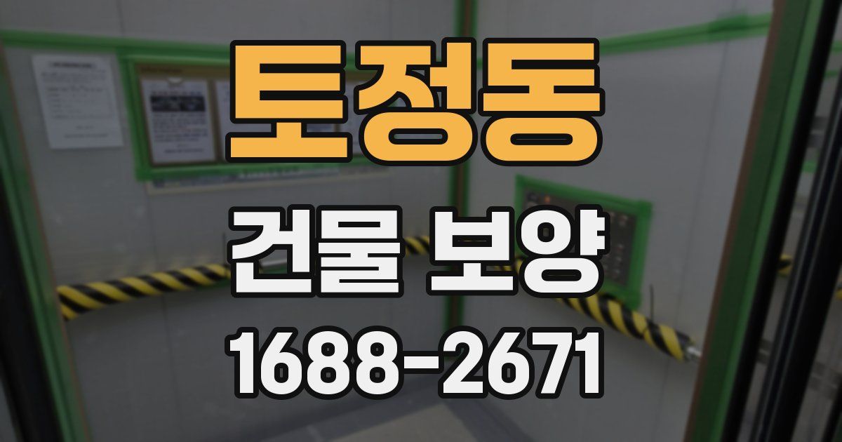 토정동 건물 보양