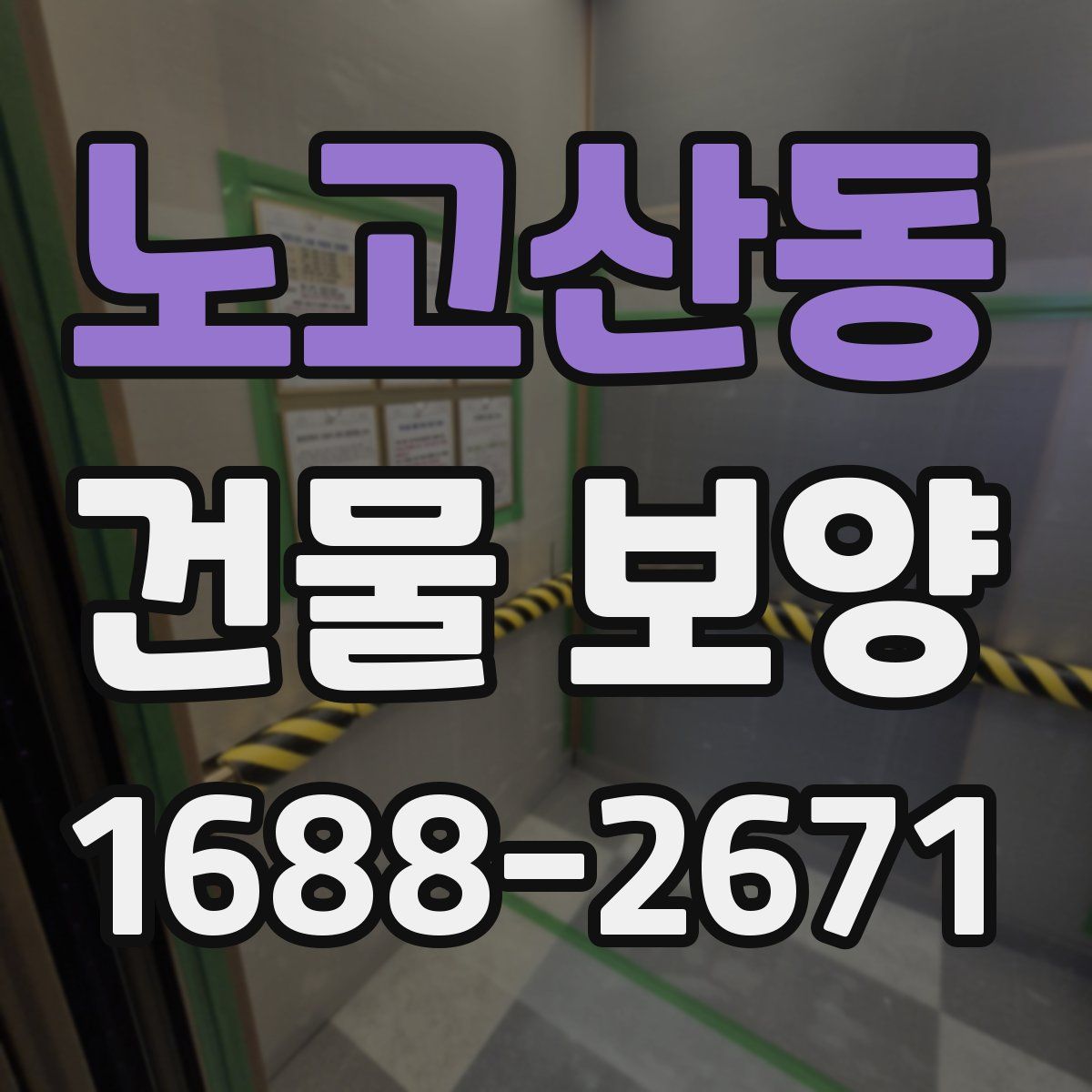 노고산동 건물 보양