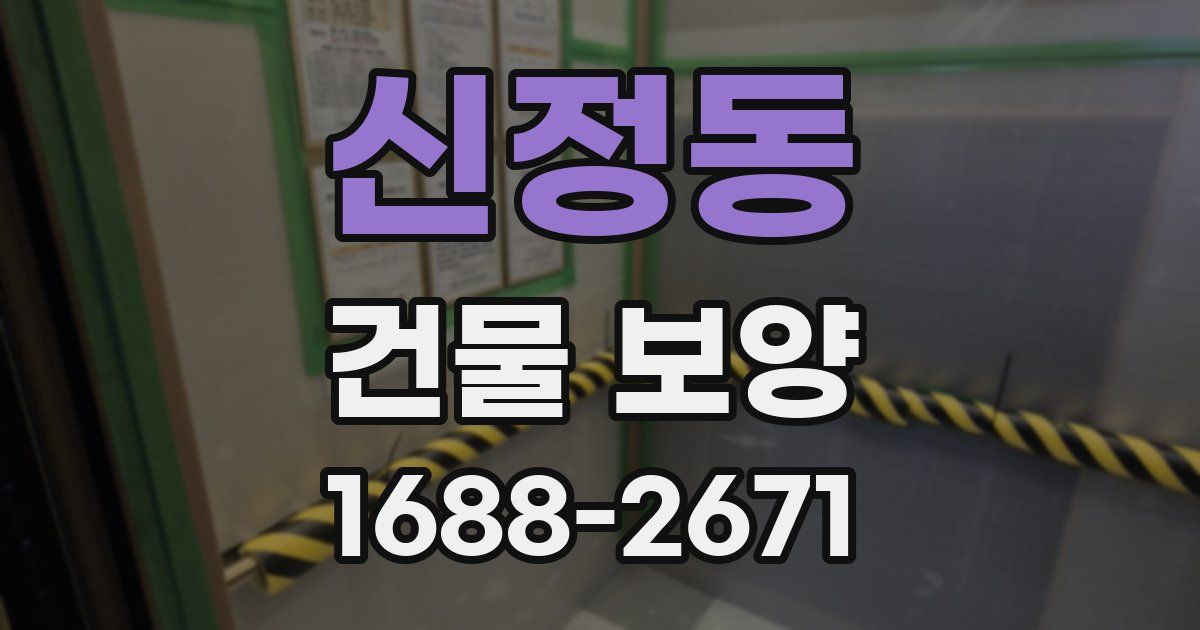 신정동 건물 보양