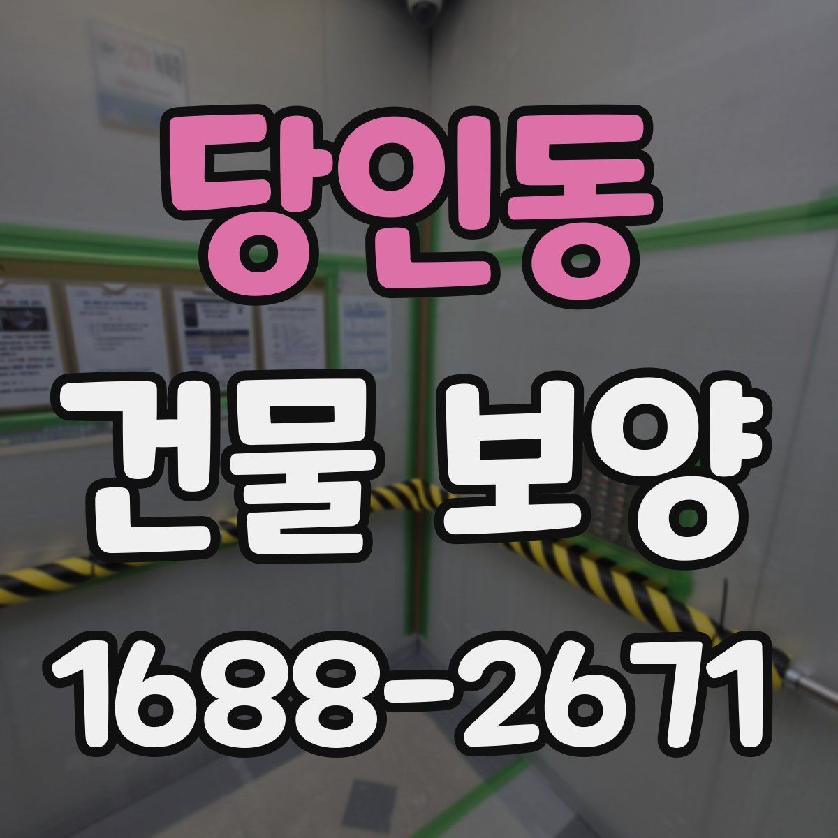 당인동 건물 보양 작업이 중요한 이유