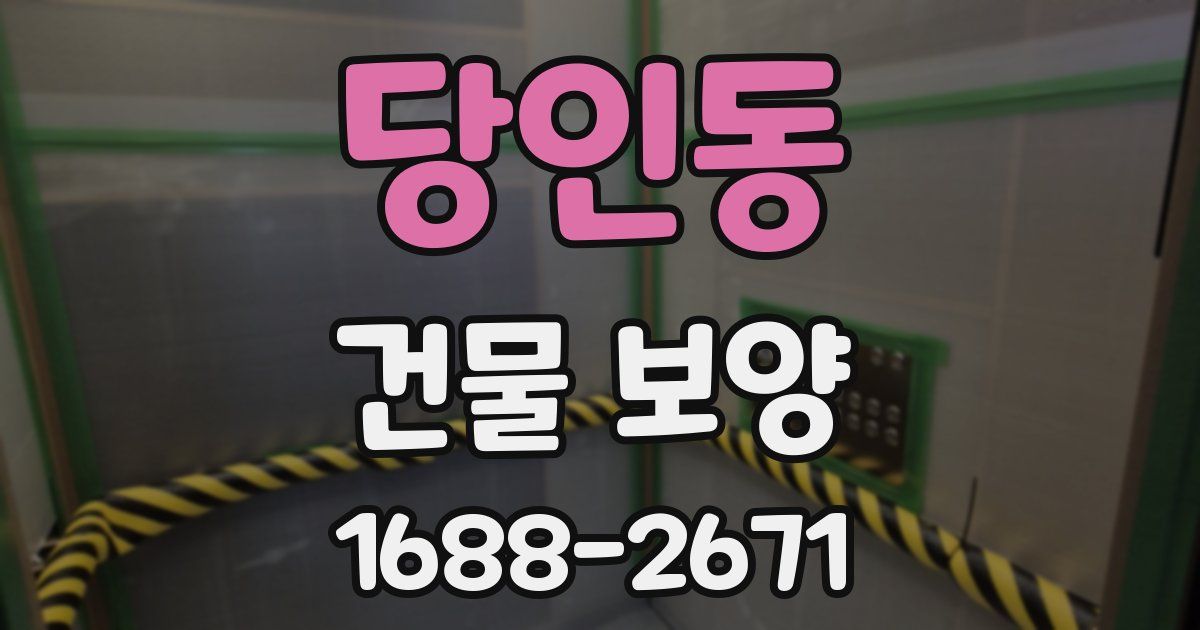 당인동 건물 보양