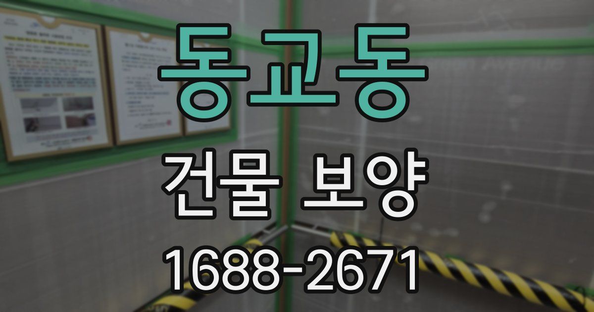 동교동 건물 보양