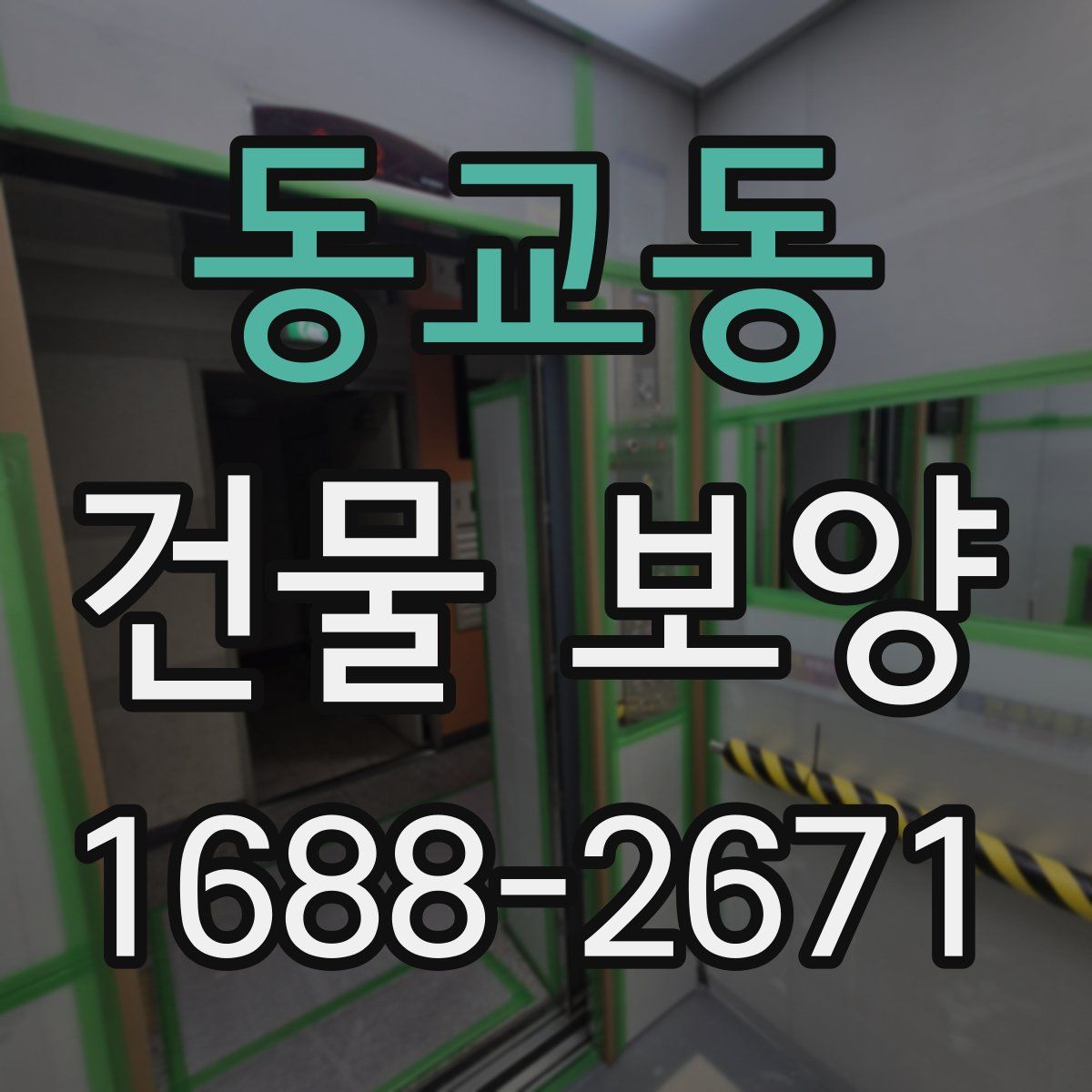 동교동 건물 보양