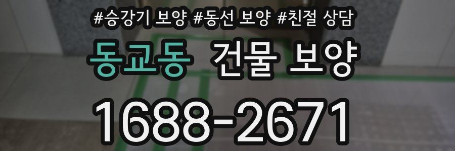 동교동 건물 보양