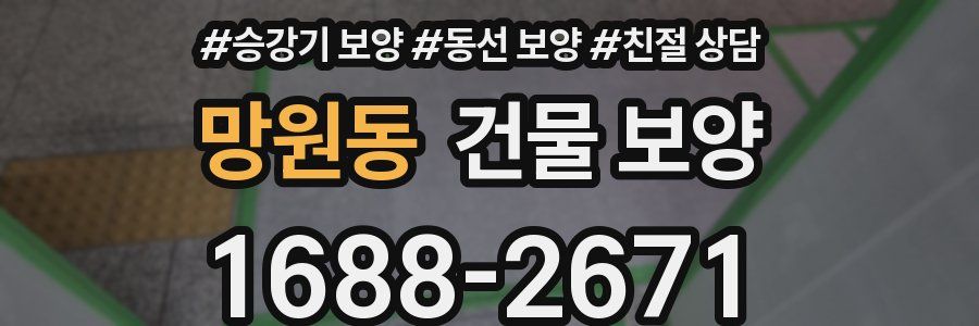 망원동 건물 보양