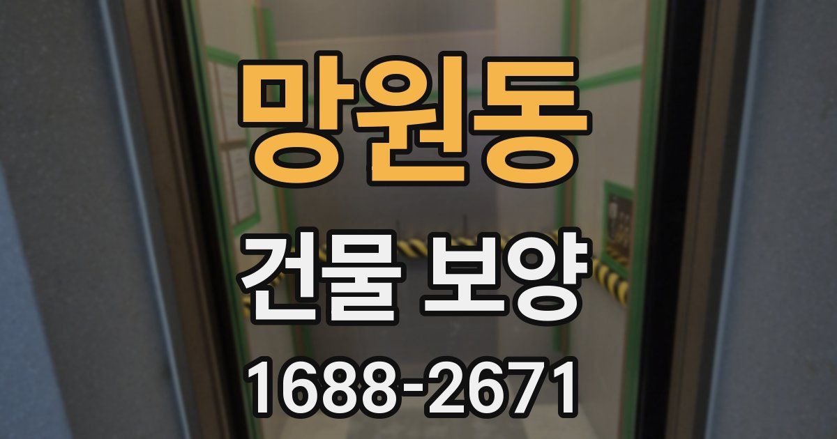 망원동 건물 보양