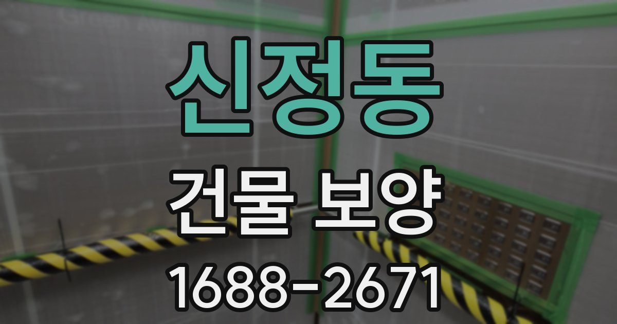 신정동 건물 보양