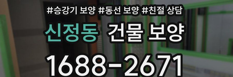 신정동 건물 보양
