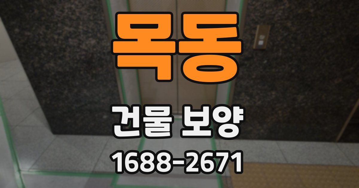 목동 건물 보양