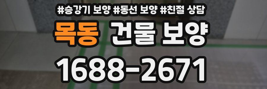 목동 건물 보양
