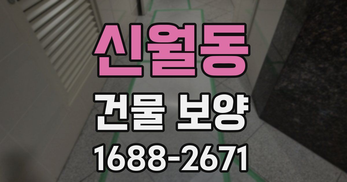 신월동 건물 보양