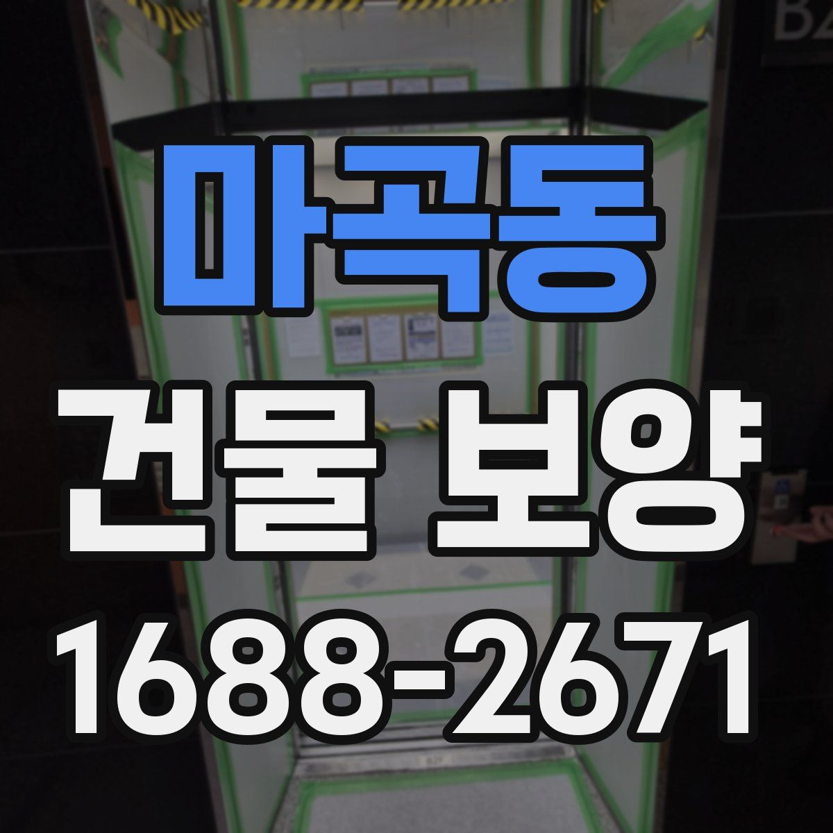 마곡동 건물 보양