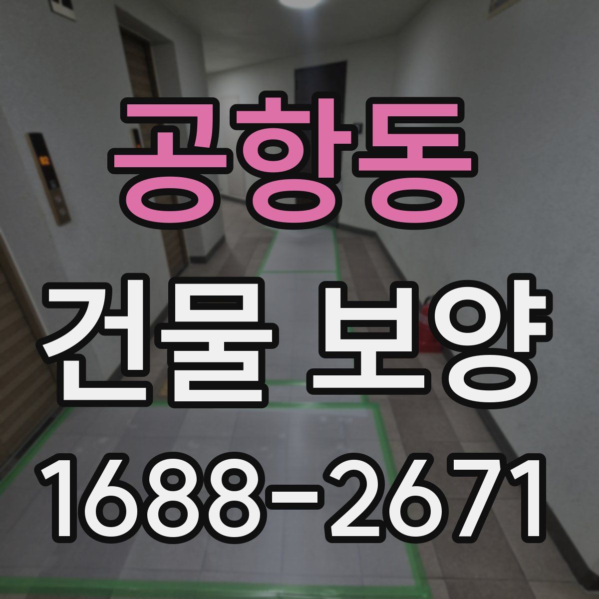 공항동 건물 보양