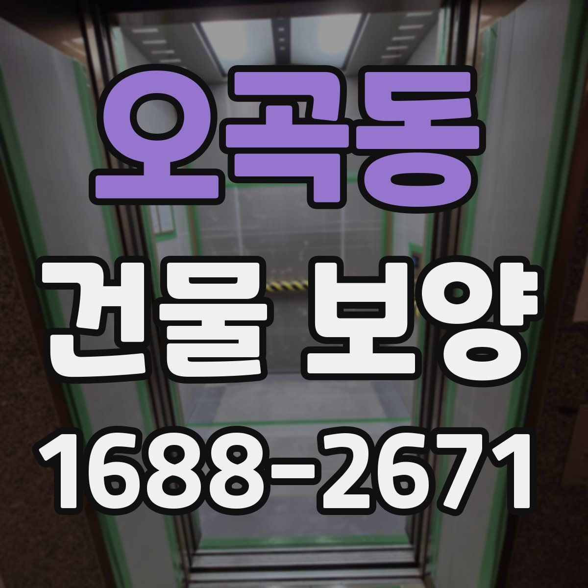 오곡동 건물 보양