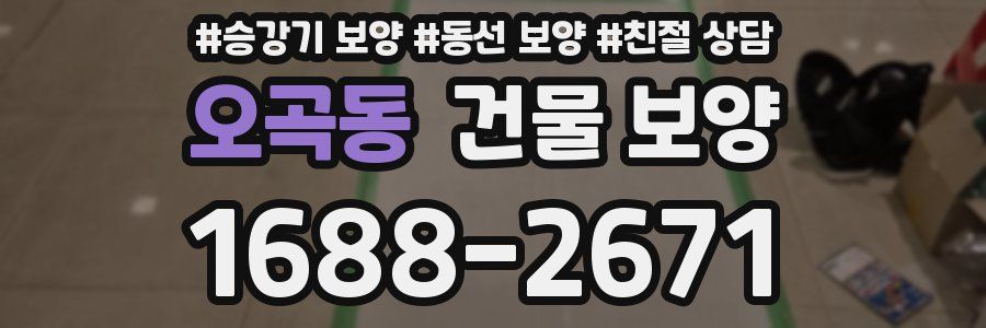 오곡동 건물 보양