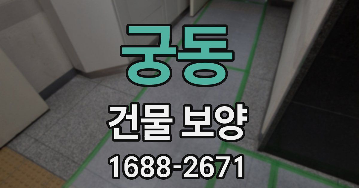 궁동 건물 보양