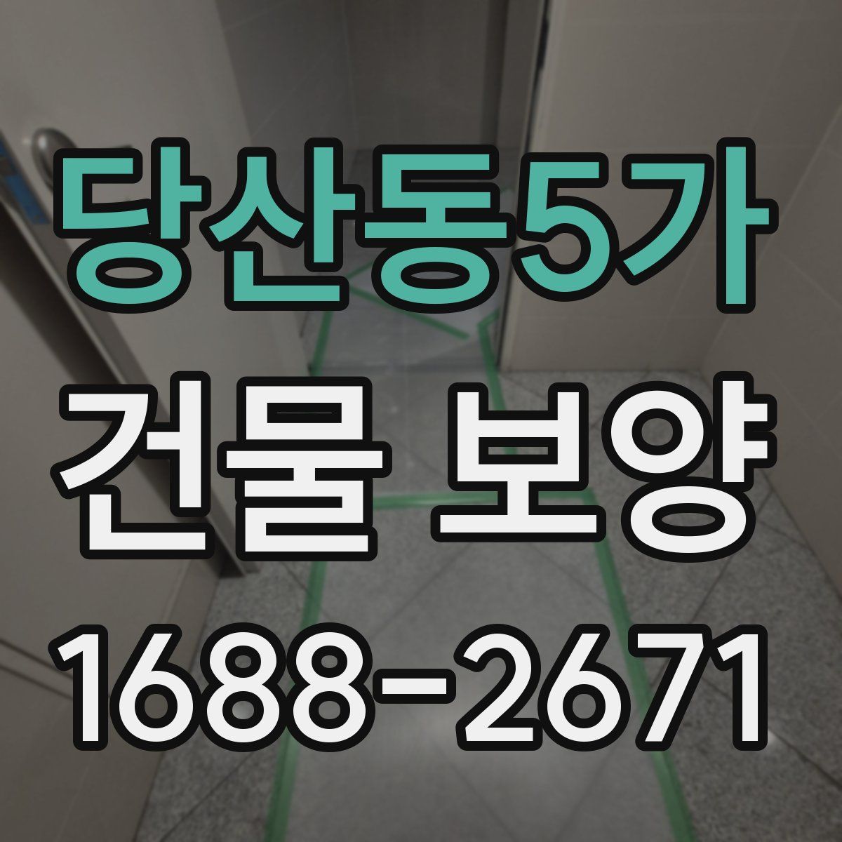당산동5가 건물 보양