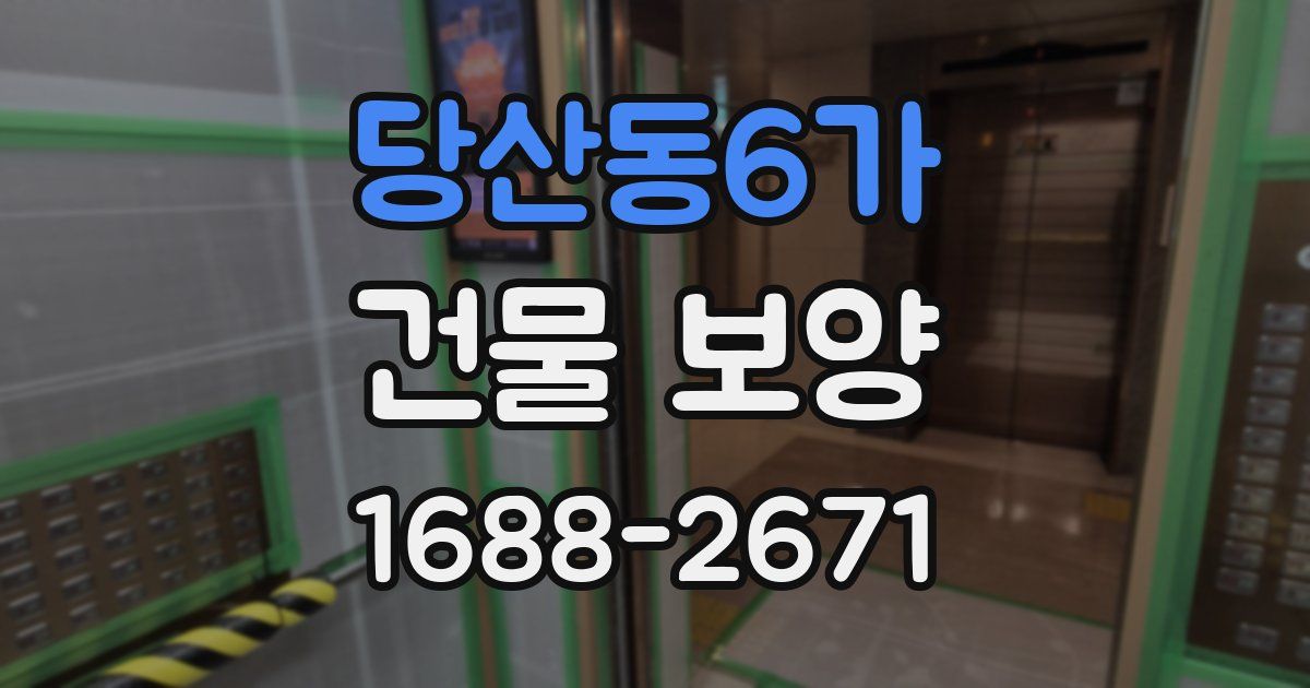 당산동6가 건물 보양
