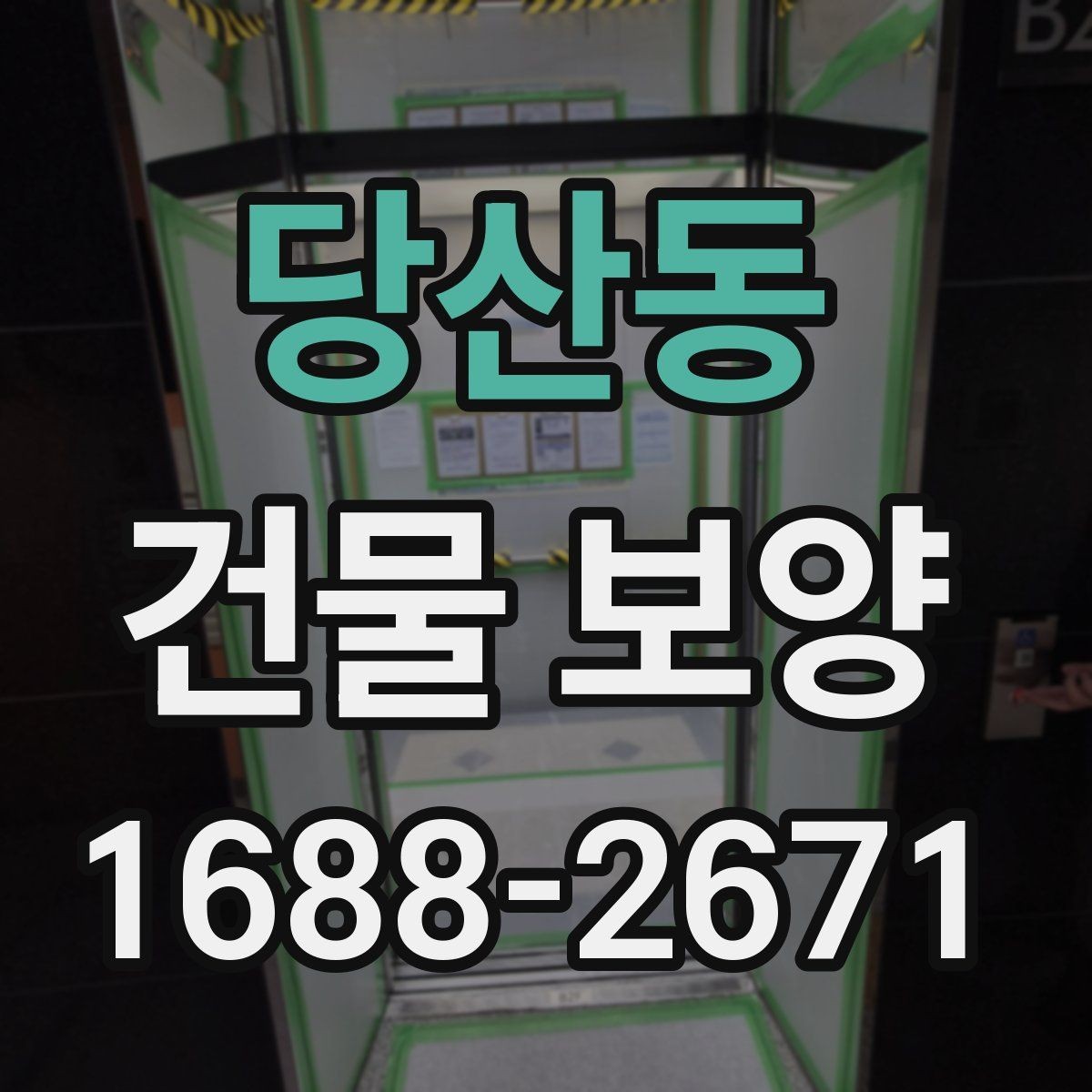 당산동 건물 보양 적용 범위와 사례 살펴보기