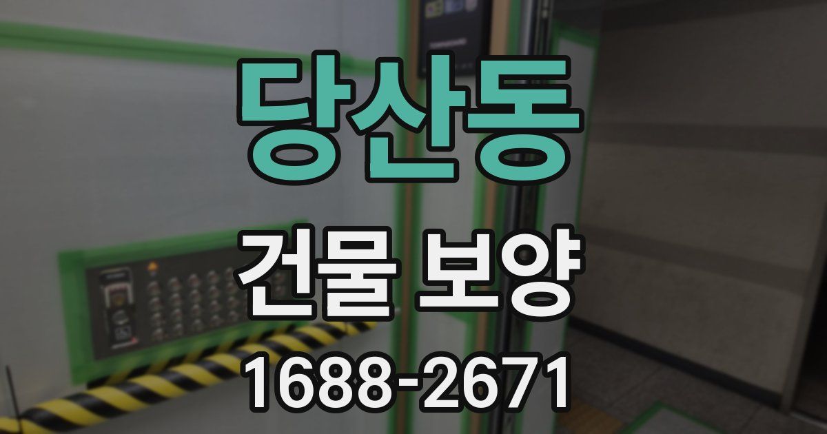 당산동 건물 보양