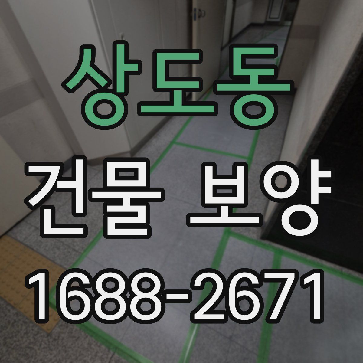 상도동 건물 보양