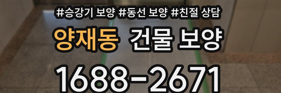 양재동 건물 보양