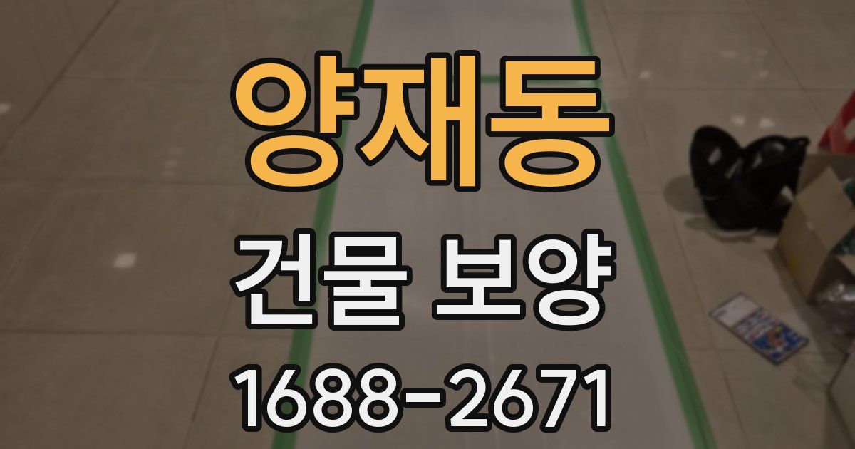 양재동 건물 보양