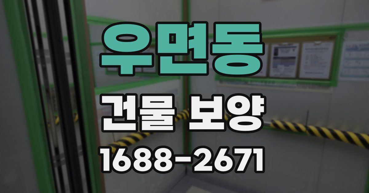 우면동 건물 보양