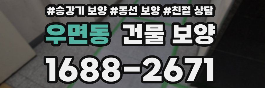 우면동 건물 보양
