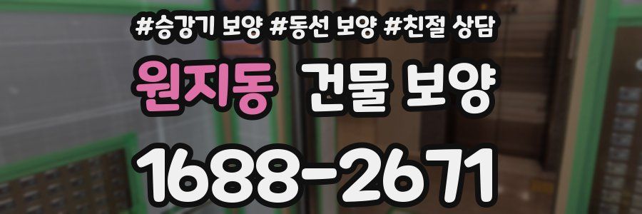 원지동 건물 보양