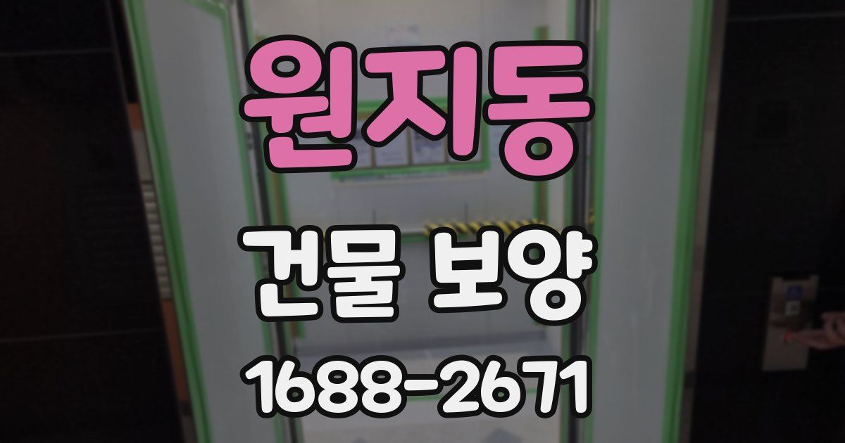 원지동 건물 보양